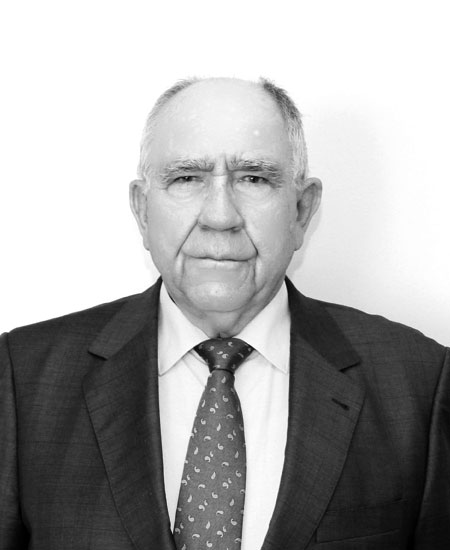 D. Javier Del Río López